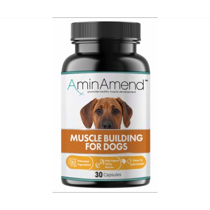 AminAmend 430mg na web