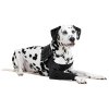 SUITICAL PRODUCT RECOVERY SLEEVE DOG LARGE BLACK 01 2021 V01