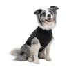 SUITICAL PRODUCT RECOVERY SUIT DOG MEDIUM BLACK 02 2021 V01