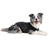 SUITICAL PRODUCT RECOVERY SUIT DOG MEDIUM BLACK 04 2021 V01