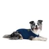 MPS PRODUCT WHITE BG MEDICAL PET SHIRT DOG BLUE 03 2020 V01