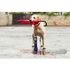MPS LIFESTYLE MEDICAL PETS BOOT DOG 02 2020 V01
