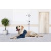 MPS LIFESTYLE TAZ SINGLE FRONT LEG SLEEVE 01 2020 V01