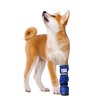 MPS PRODUCT WHITE BG MEDICAL PETS BOOT DOG BLUE 02 2020 V01