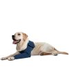 MPS PRODUCT WHITE BG TAZ SINGLE FRONT LEG SLEEVE DOG BLUE 01 2020 V01
