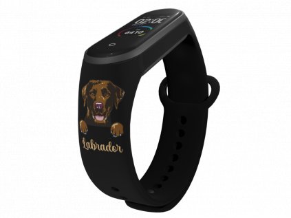 Zavřený mi band BLK hn labrador