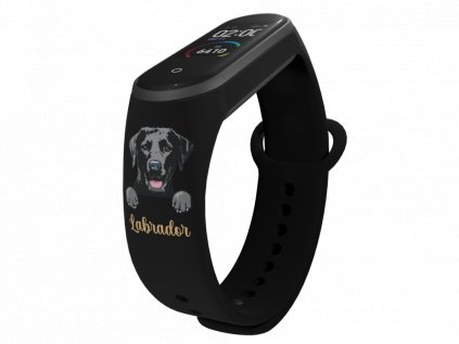 Zavřený mi band BLK labrador