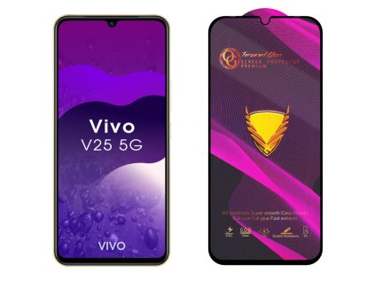 Vivo V25 5G
