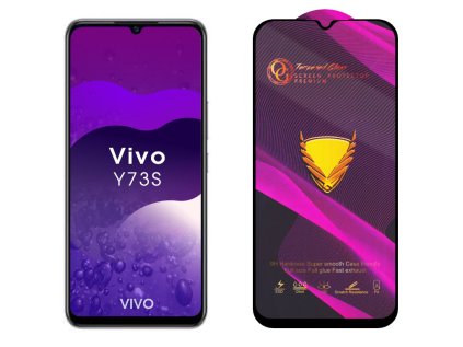 Vivo Y73s