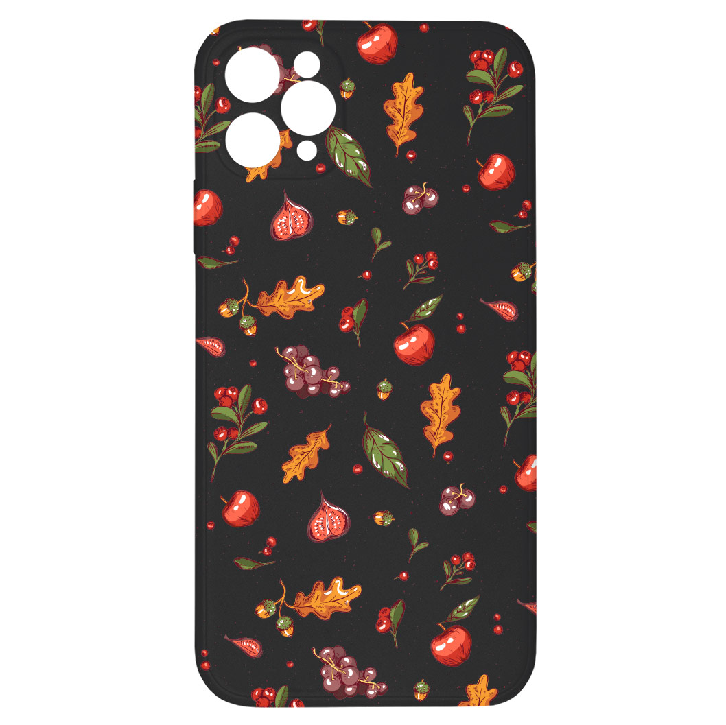 Levně Kryt Podzimní nadílka černý pro iPhone 11 Pro