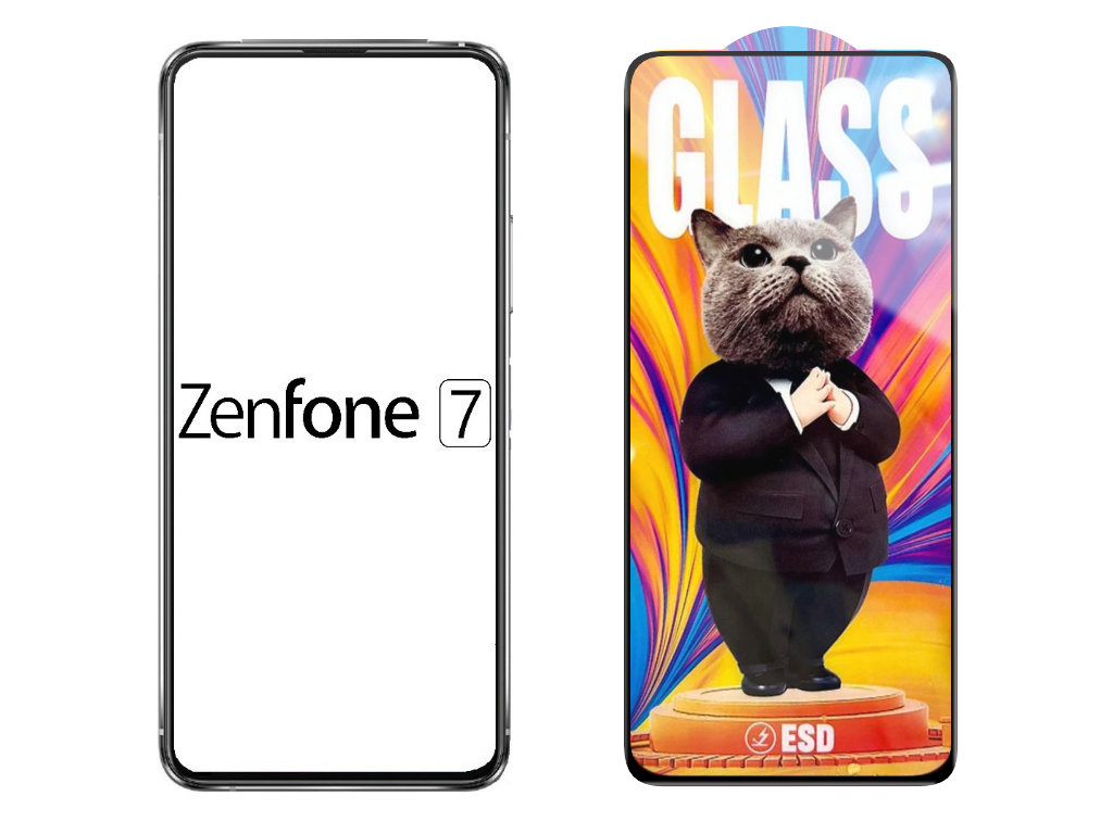 Levně 3D Ochranné tvrzené sklo na Asus Zenfone 7 - Mr. Cat ESD