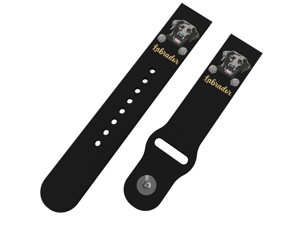 Strapido Labradorský retrívr řemínek 20 mm