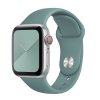 Apple Watch řemínek jednobarevný 38/40/41 a 42/44/45/4946#Cactus