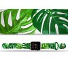 Apple watch řemínek Monstera 2Apple watch Apple watch řemínek Monstera 2 Monstera 2 bílý