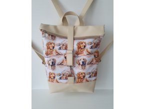 Lucas - Zlatý retriever