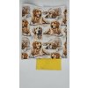 Lucas - Zlatý retriever