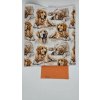 Lucas - Zlatý retriever