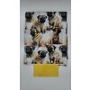 Lucas - Mops