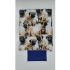 Lucas - Mops