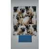 Lucas - Mops