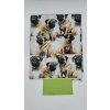 Lucas - Mops