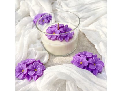 20C5760F 00F2 401B 9946 783125186B1A