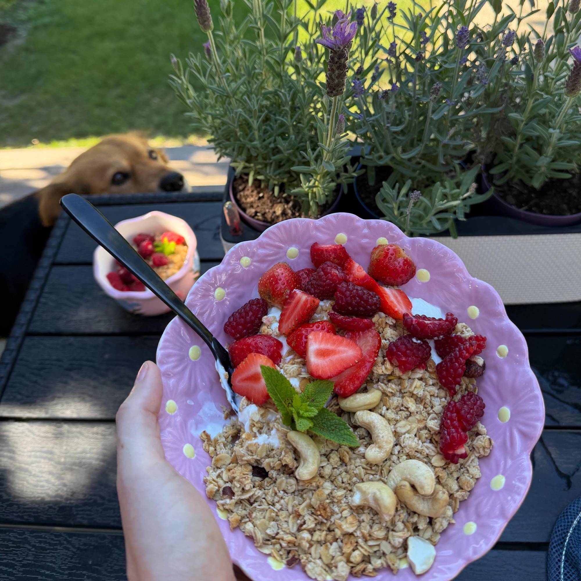 RECEPT: Naša rodinná power kaša