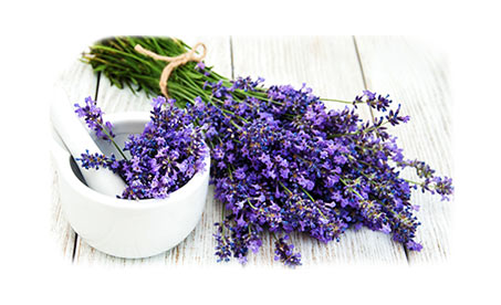Levandulový sirup