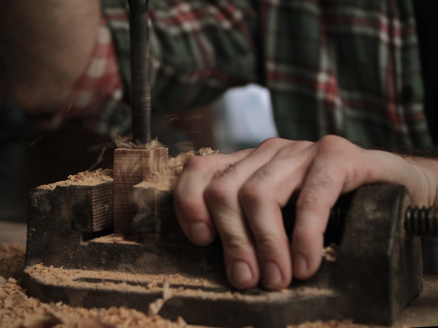 Detail dřeva Wengé