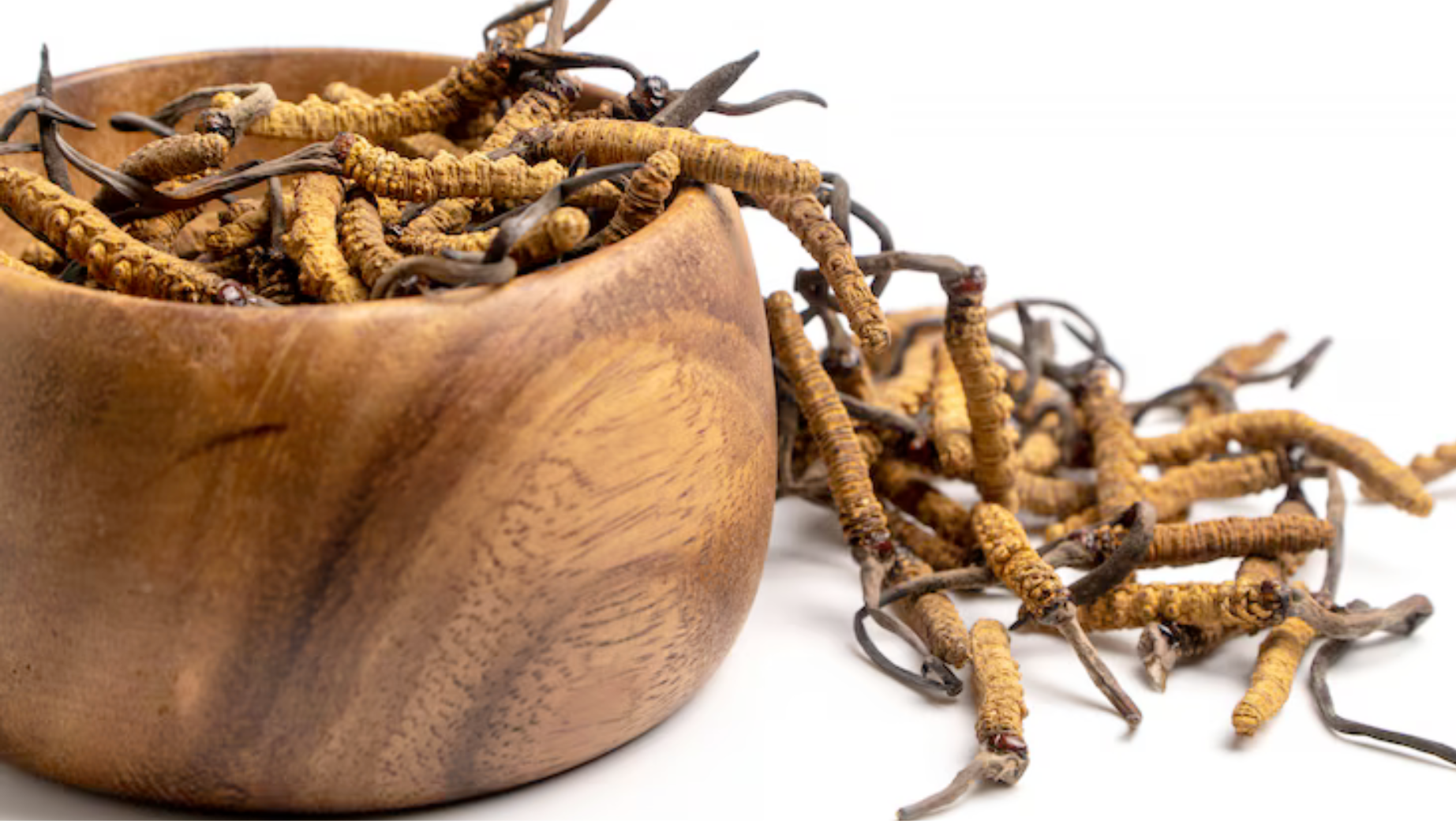 Co je to Cordyceps a proč ho sportovci milují?