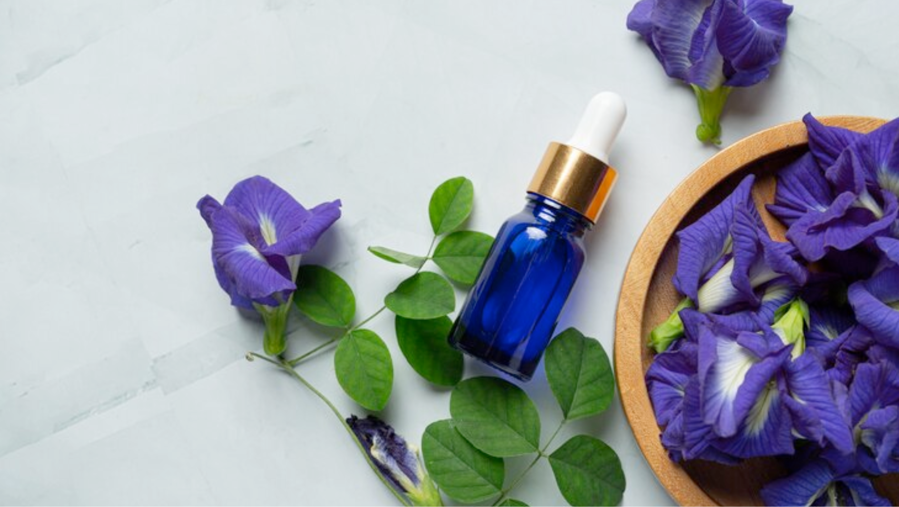 Co dělá Blue Lotus a proč ho lidé užívají?