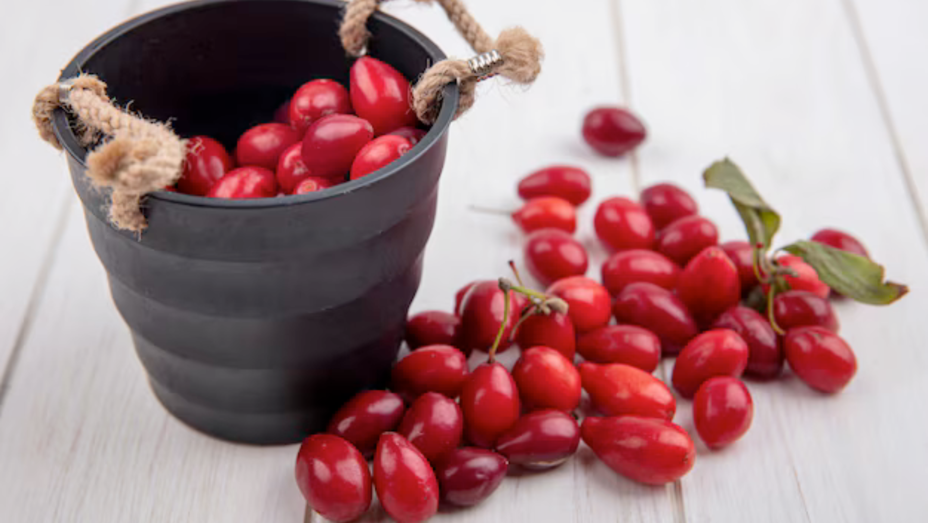 Co to je Berberin a jaké jsou jeho účinky na organismus?