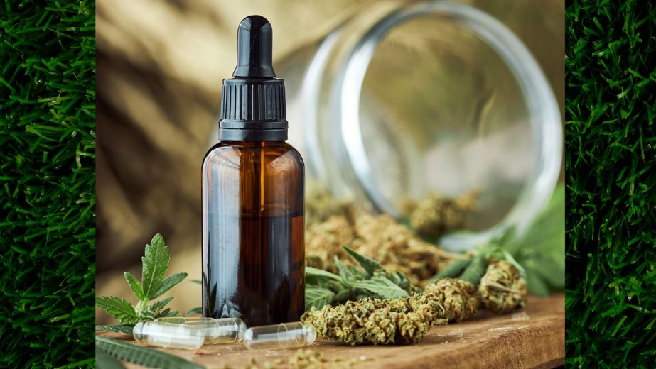 Co to je THCX a proč je lepší než HHC?