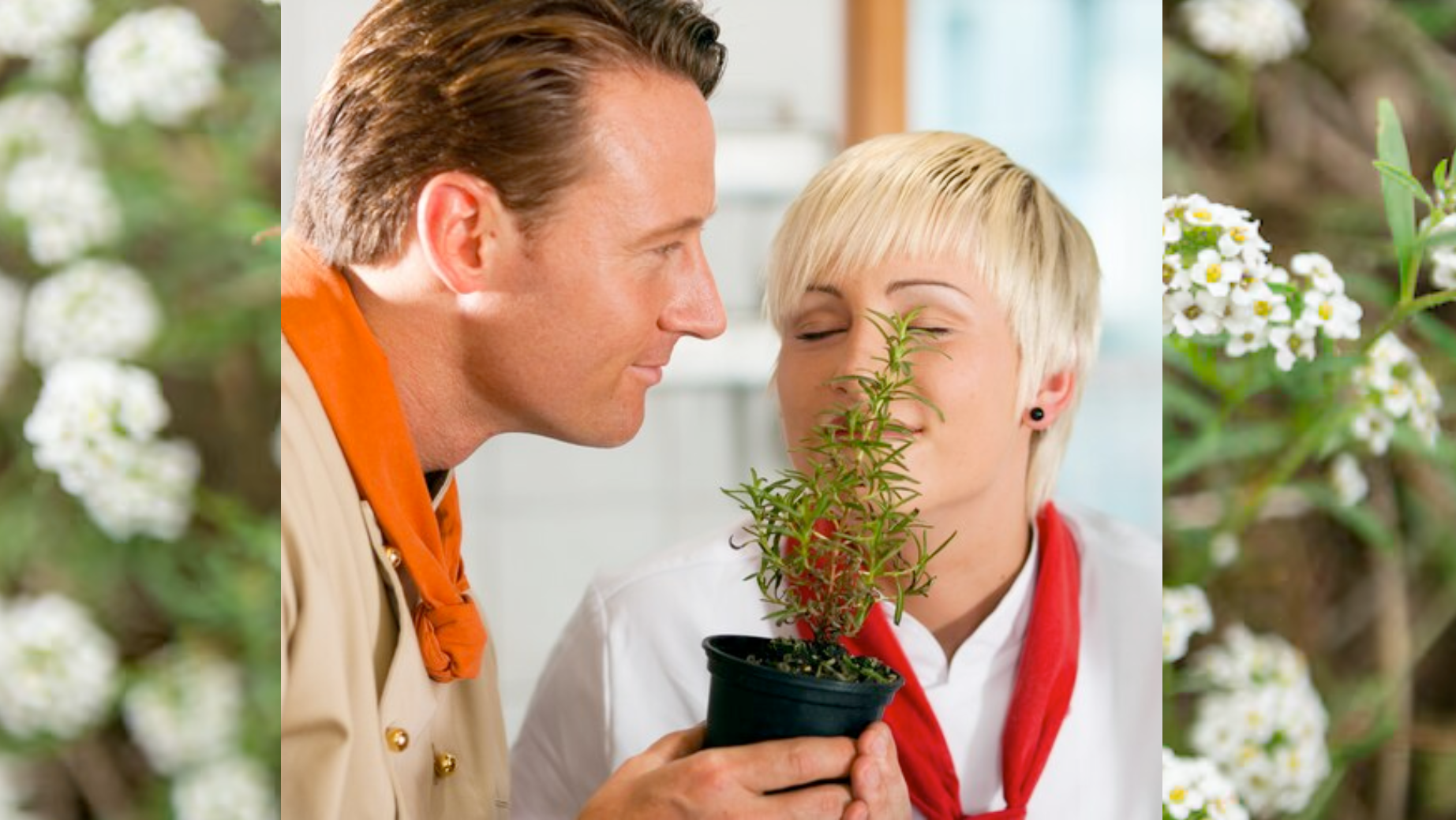 Bylinky pro zlepšení plodnosti u mužů a žen