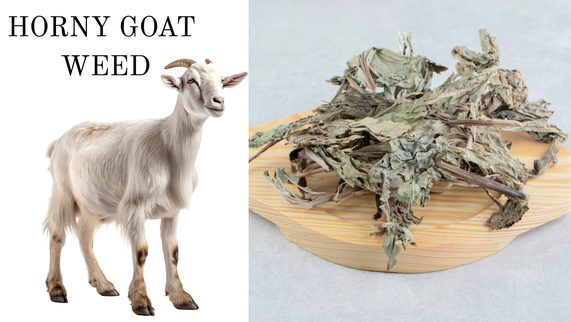 Co je Horny Goat Weed a funguje opravdu na libido?
