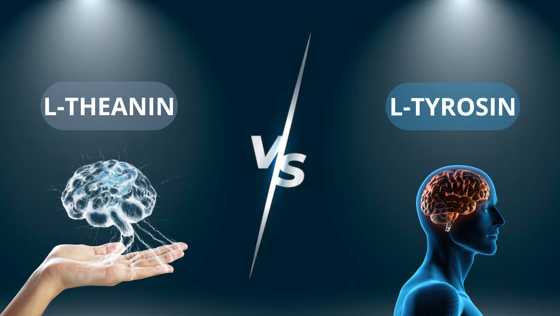 Rozdíl mezi L-Theanin a L-Tyrosin: Co byste měli vědět?
