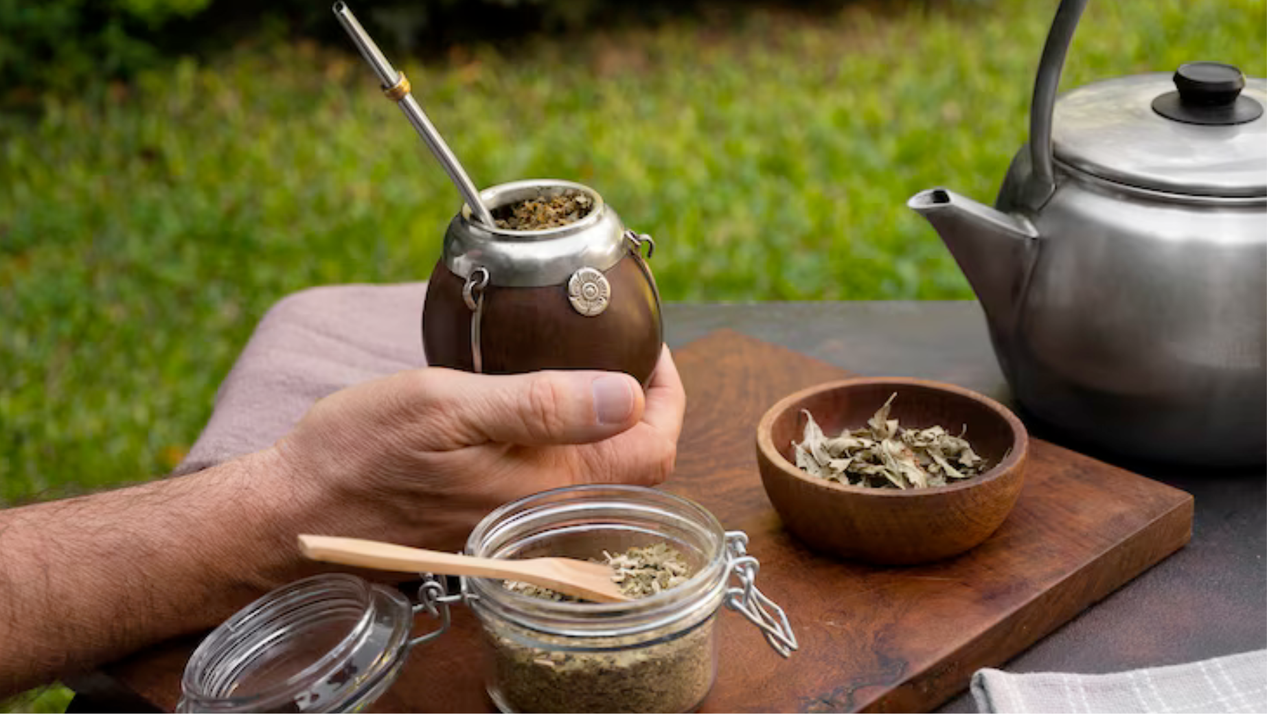 Co to je Yerba Maté a proč ho užívat?