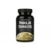 tribulus