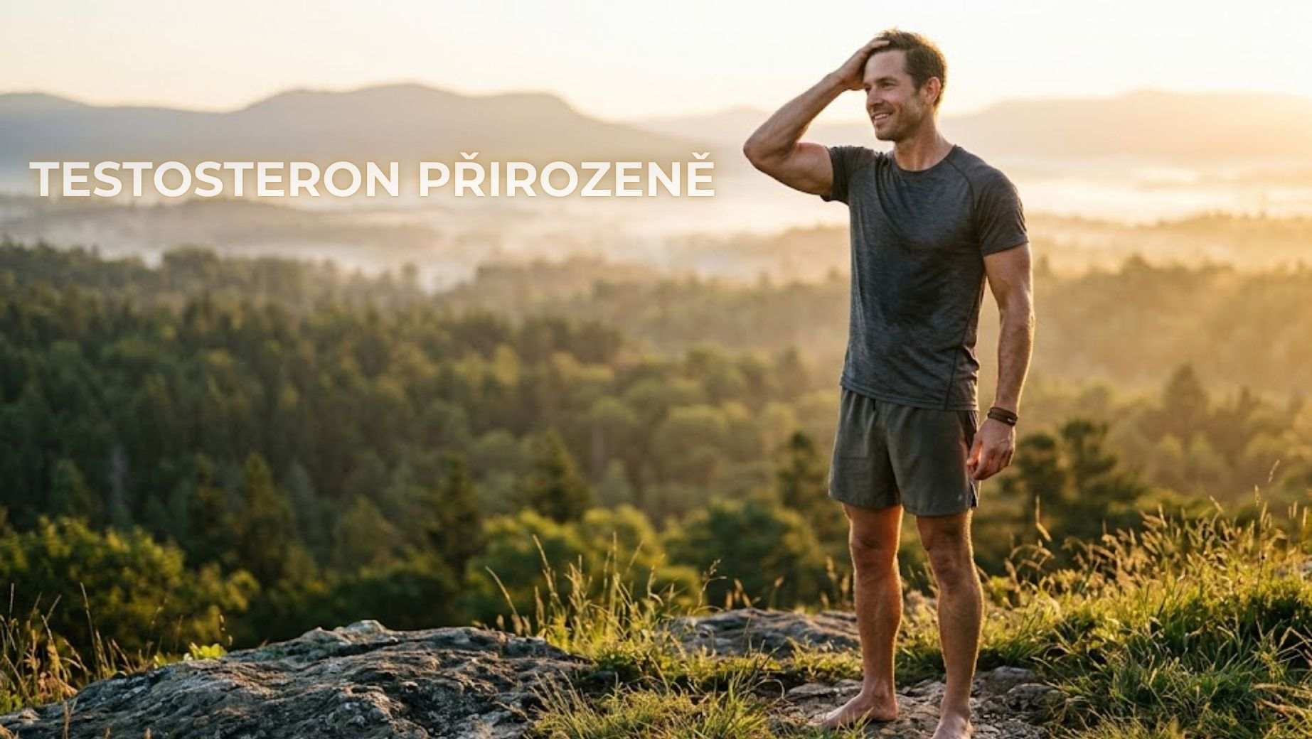 Testosteron a mužská vitalita