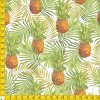 702045 akvarel ananas metr