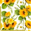 726237 květy slunečnic metr