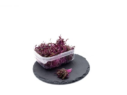 2023 11 microgreens e shop 21