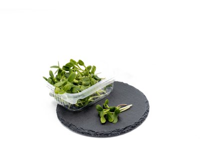 2023 11 Microgreens e shop 054 9