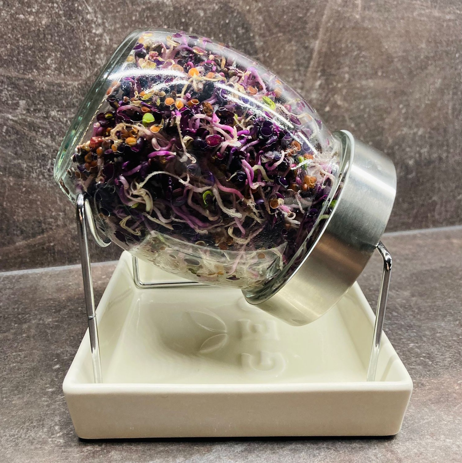 Jak si doma vypěstovat klíčky