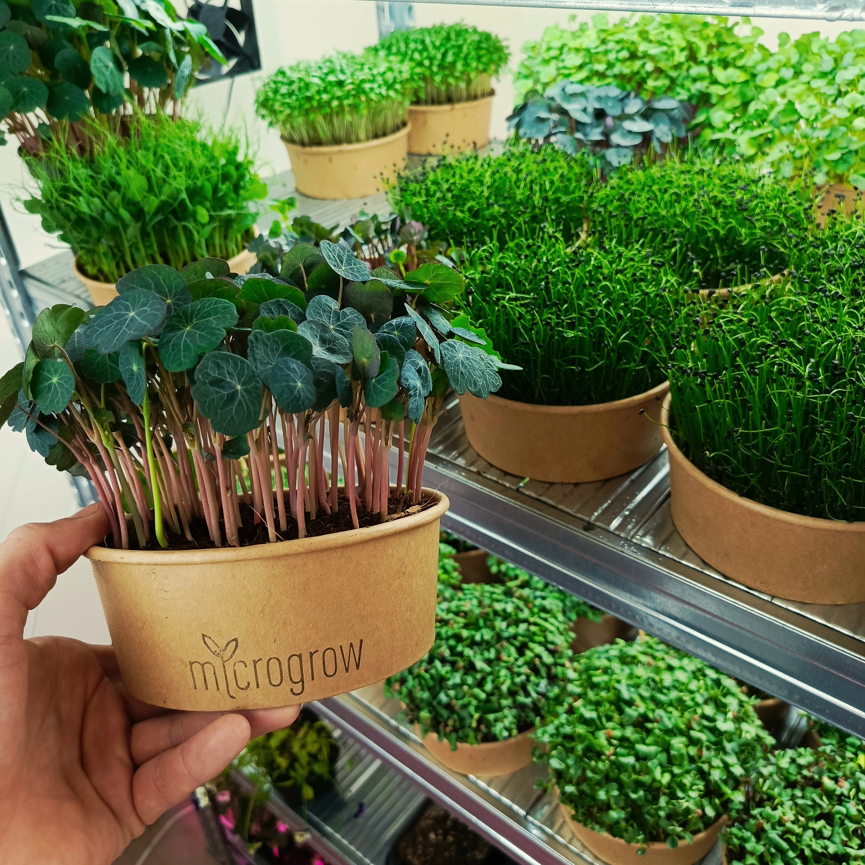 IMG_20250921_140939_978