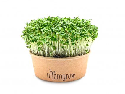 Brokolice Microgreens
