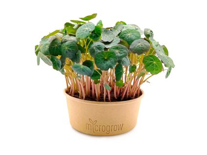 lichoreresnice 1024x768