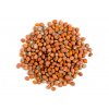 ředkev daikon semínka microgreens a klíčení