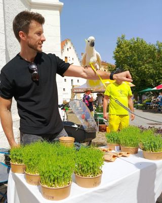 Dnes přiletěl na ochutnávku microgreens i papoušek Kevin 🦜🌱 #microgreens #kakadu #piaristickenamesti #cerstvazelenina...