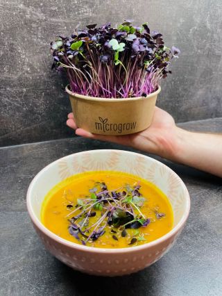 Dýňová polévka a nádherná ředkvička fialová Vulcano jsou výbornou kombinací, co se týče nejen vzhledu, ale také chuti. 🍲 A...